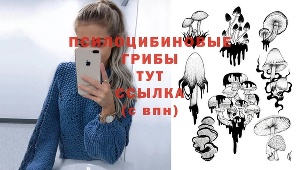 альфа пвп Пересвет
